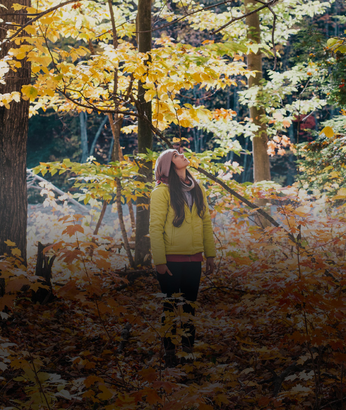 Video Content & Marketing Image