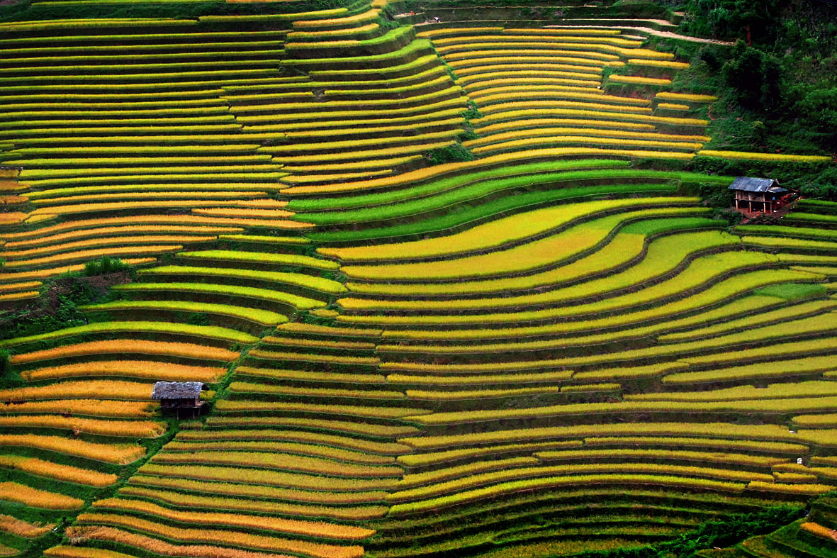 Hãy tìm hiểu về vùng biên đẹp nhất Việt Nam tại Hà Giang! Mỗi cảnh sắc là một trải nghiệm khó quên. Những ngọn đồi đồng cỏ, những con đường uốn lượn ven đèo, những thác nước lay động cảm xúc. Xem hình ảnh để thấy được sự tuyệt vời của Hà Giang.