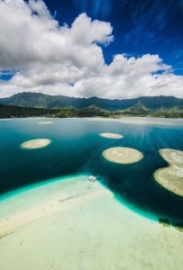 sandbar