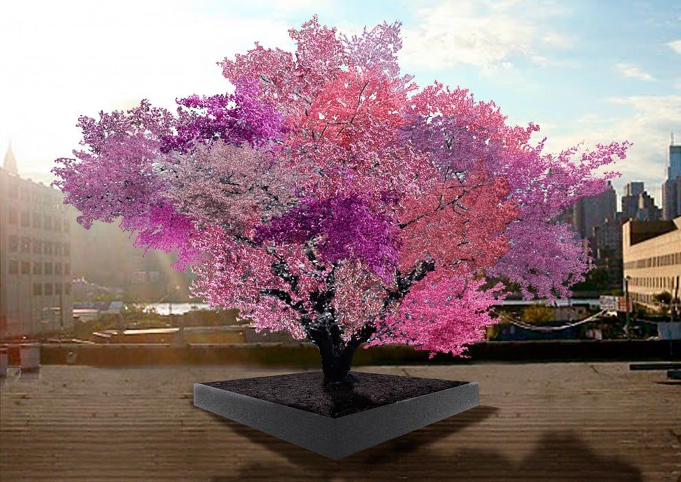 Tree of 40 Fruit