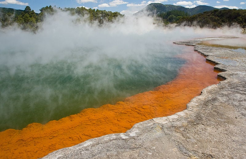 champagne pool