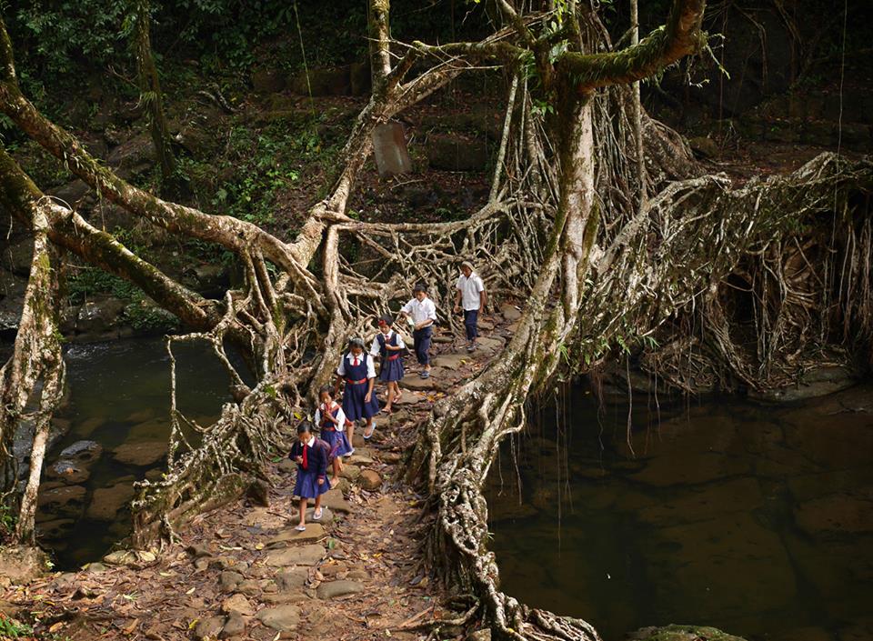 Meghalaya