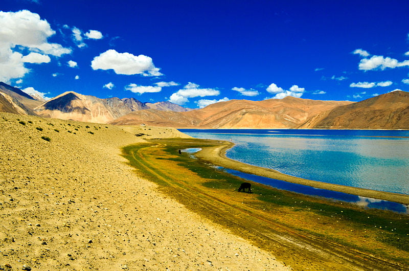 Pangong Tso Lake