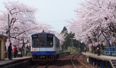 Spring in Japan