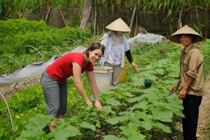 voluntour southeast asia