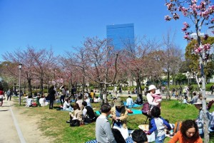 japan instagram-worthy cherry blossom spots