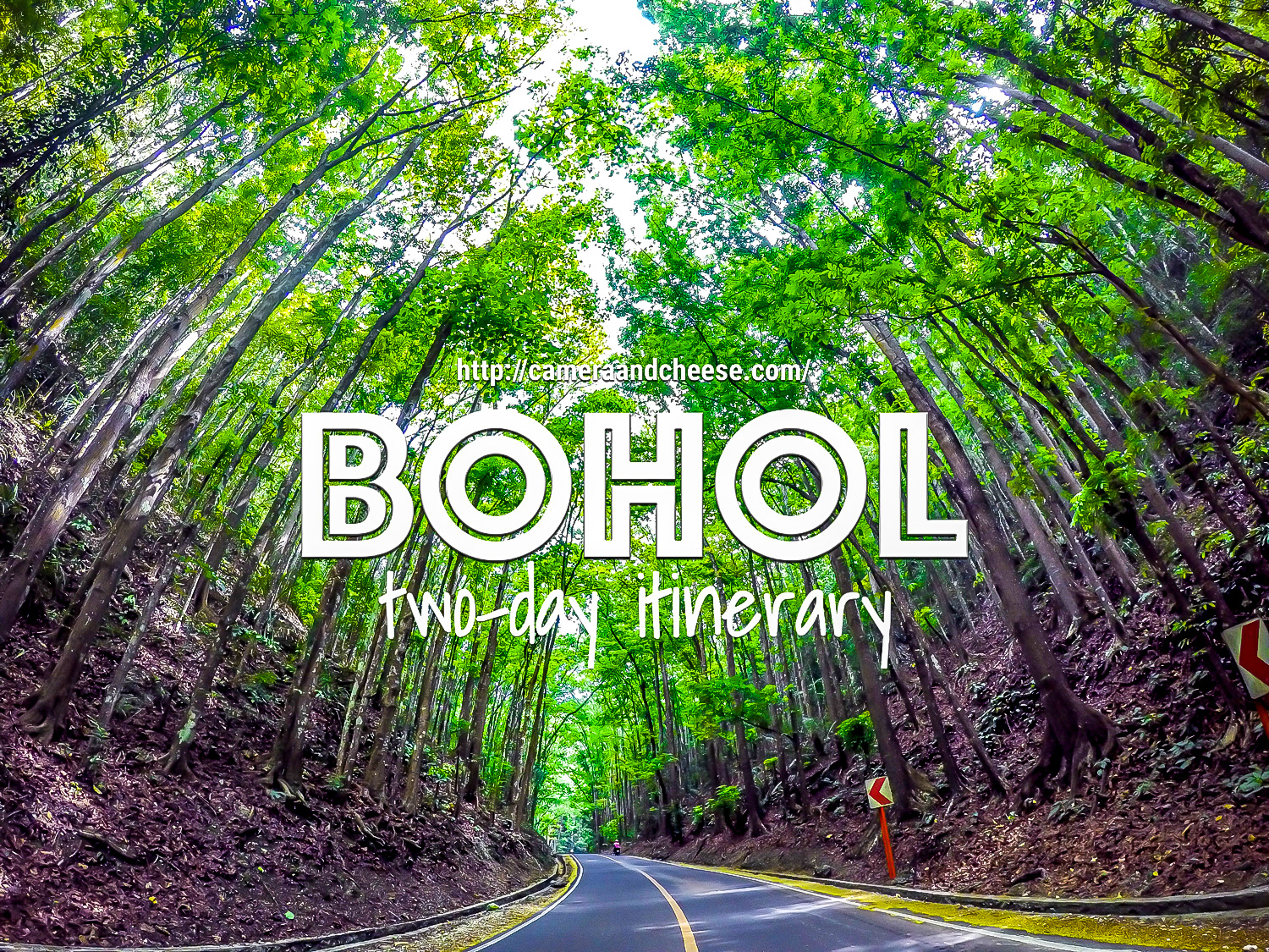 bohol tourist spots itinerary 2 days