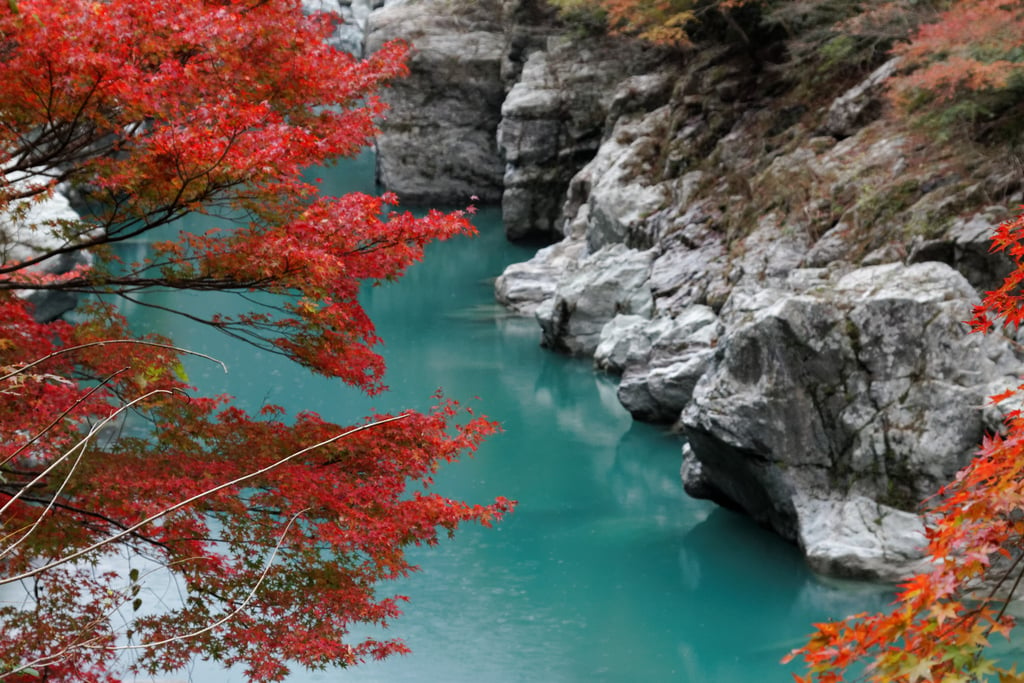 Shikoku: A Hidden Part of Japan That You Have to Visit