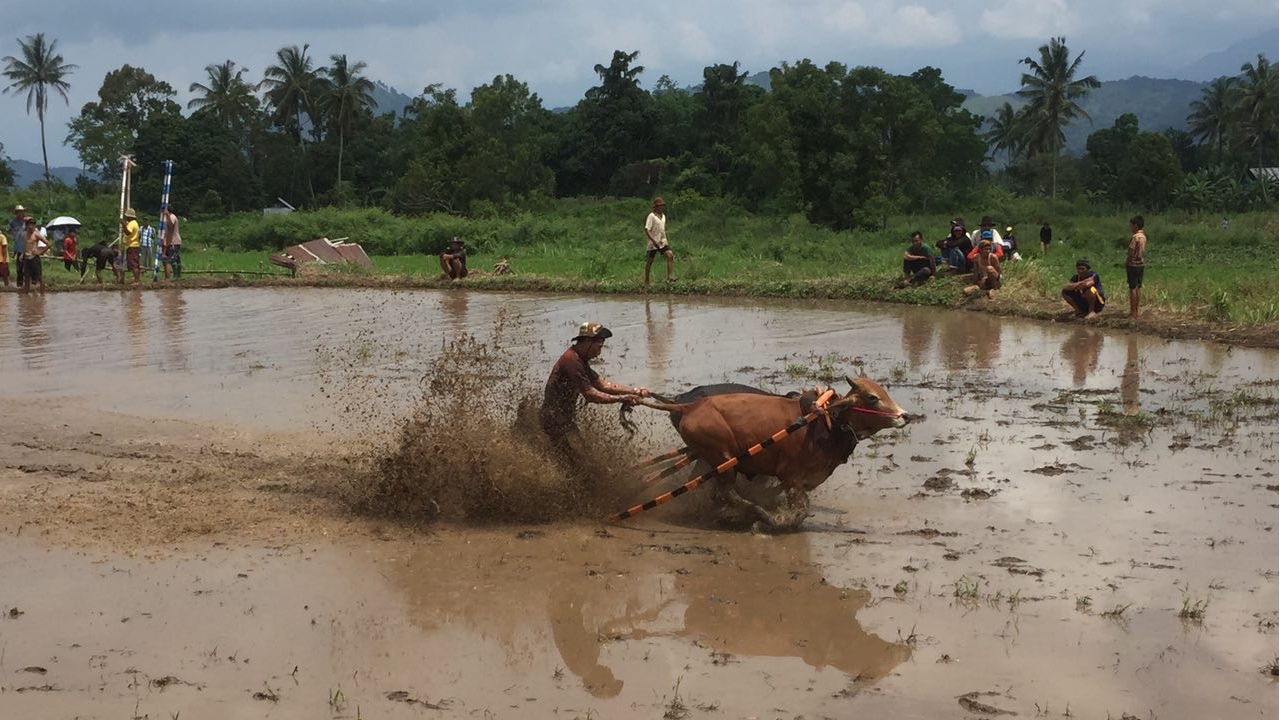 15 Things to Do in Sumatra, the Wild West of Indonesia